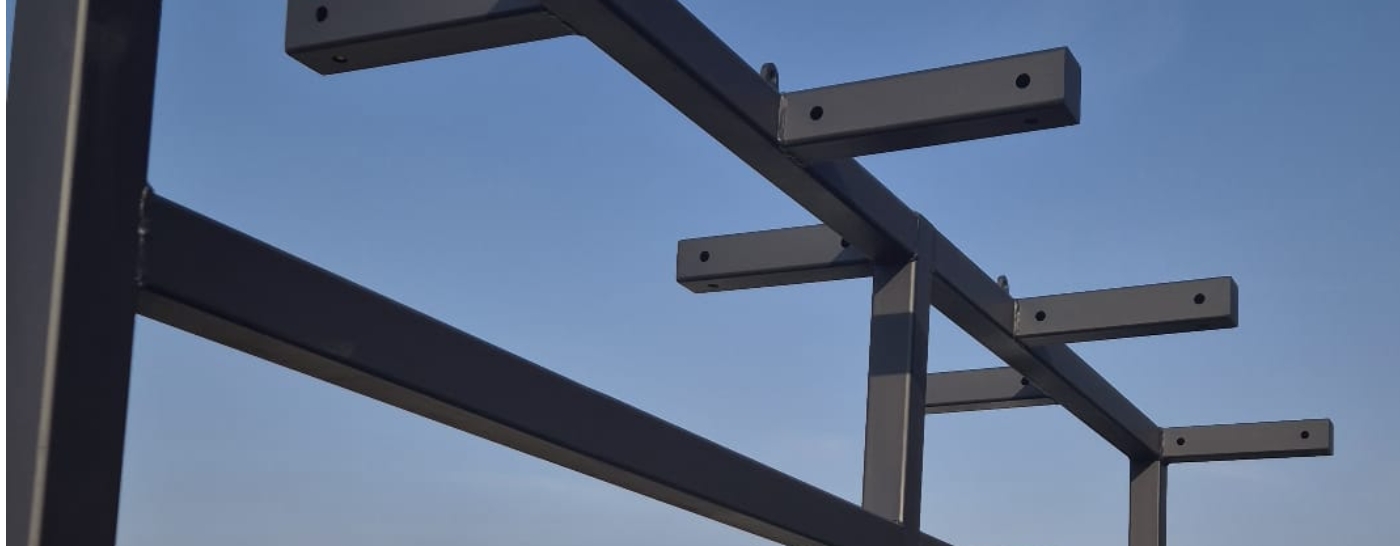 Tree fern stand for Chapmans Nurseries