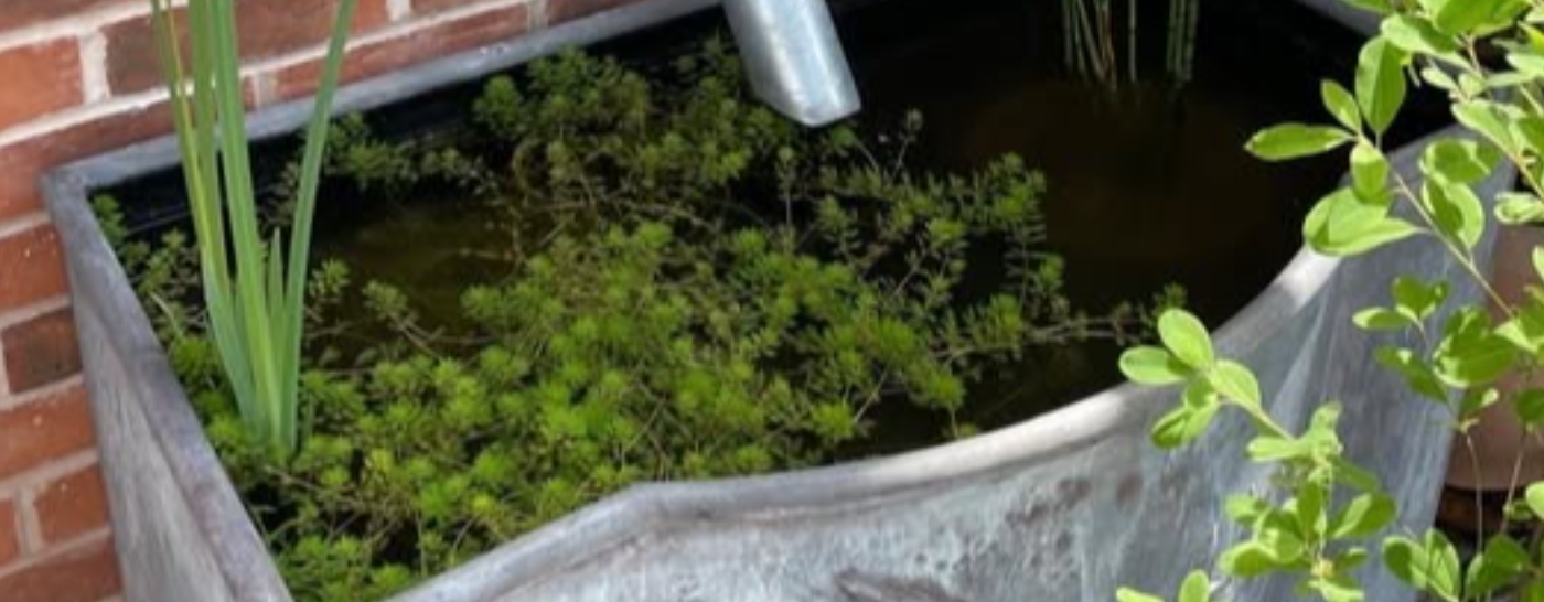 Galvanised Water Tank